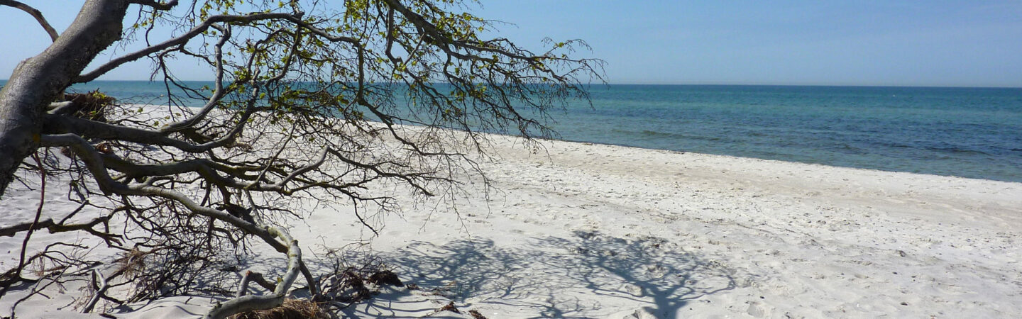 Deutscher Familienverband Berlin