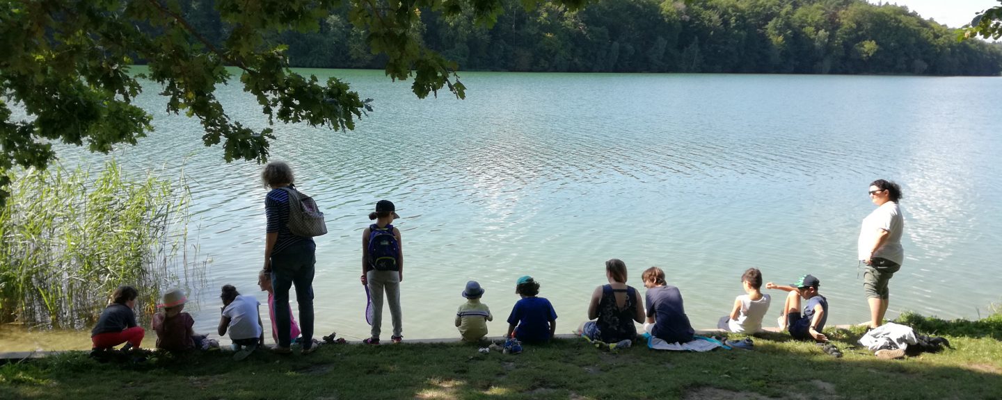 Deutscher Familienverband